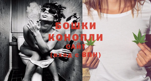 бошки Нея