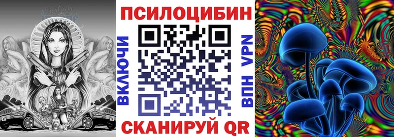 дарнет шоп  Крымск  Галлюциногенные грибы мицелий 